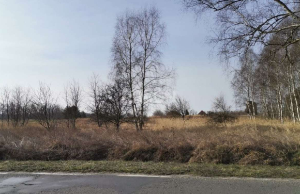 Chocianowiec, działka budowlana, 83 ar, sprzedaż, 290 500 zł.  
  
Na sprzedaż grunt budowlany w miejscowości Chocianowiec w po