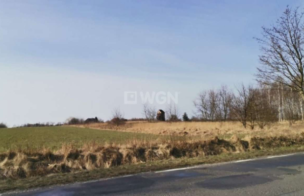 Chocianowiec, działka budowlana, 83 ar, sprzedaż, 290 500 zł.  
  
Na sprzedaż grunt budowlany w miejscowości Chocianowiec w po