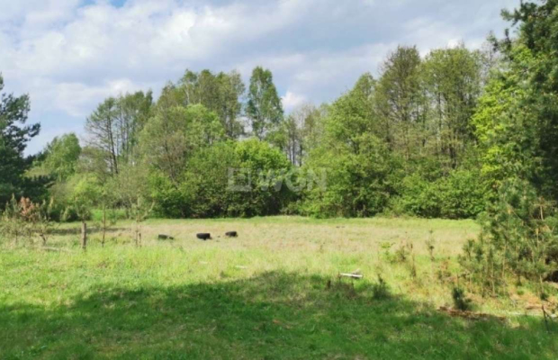 Dąbrowa, gmina Polkowice, działka budowlana, 1000 m2, sprzedaż, 45000 zł.  
  
Na sprzedaż grunt budowlany dz. 186/4 w miejscow