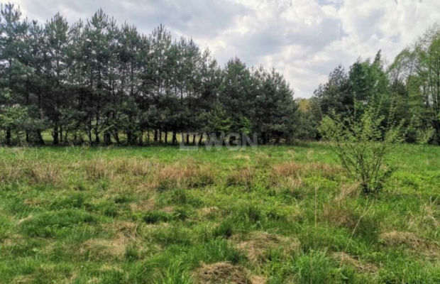 Dąbrowa, gmina Polkowice, działka budowlana, 1000 m2, sprzedaż, 45000 zł.  
  
Na sprzedaż grunt budowlany dz. 186/4 w miejscow