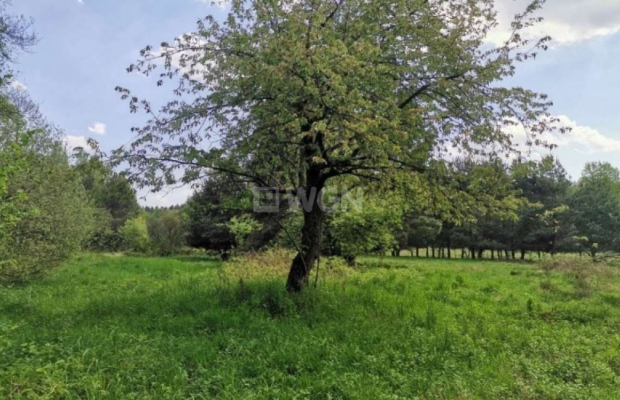 Dąbrowa, gmina Polkowice, działka budowlana, 1000 m2, sprzedaż, 45000 zł.  
  
Na sprzedaż grunt budowlany dz. 186/4 w miejscow