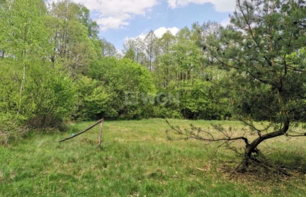 Dąbrowa, gmina Polkowice, działka budowlana, 1000 m2, sprzedaż, 45000 zł.  
  
Na sprzedaż grunt budowlany dz. 186/4 w miejscow