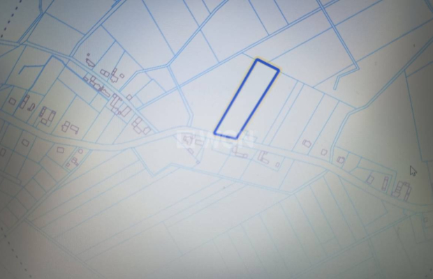 Jakubowo Lubińskie, gmina Przemków, działka 7459 m2, sprzedam, 175 000 zł.  
  
Na sprzedaż działka o powierzchni 74,59 ar z wy