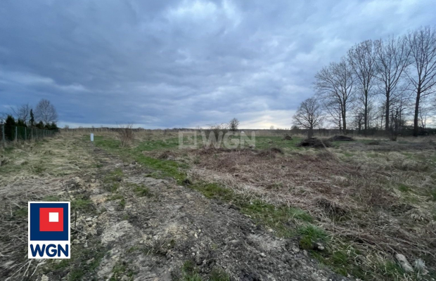 Szklary Dolne, gmina Chocianów, działka budowlana, 1535 m2, sprzedaż, 115000 zł.  
  
Na sprzedaż grunt budowlany w miejscowośc