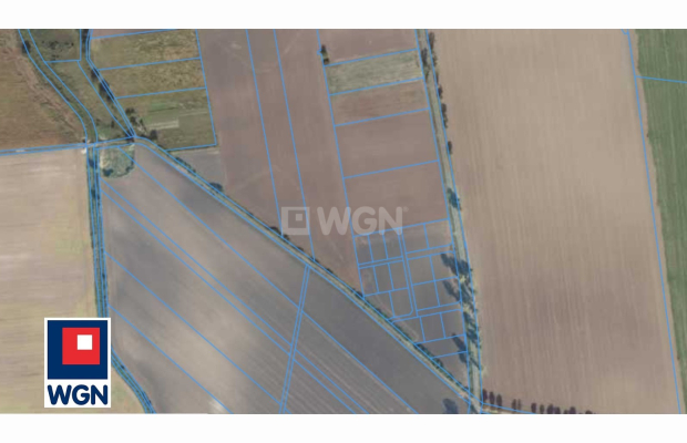 Ścinawa, pow Lubin, działka, 13121 m2, sprzedaż, 351 000 zł.  
  
Na sprzedaż grunt budowlany w miejscowości Ścinawa, powiat lu