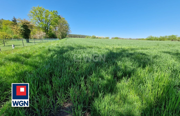 Sobolice, gmina Bytom Odrzański, działka, sprzedam, 3000 m2, 130 000 zł.  
 
Na sprzedaż działka położona w miejscowości Soboli