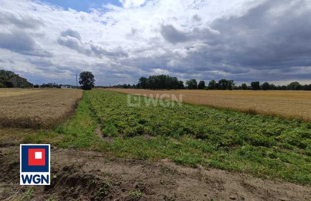 Szymocin, gm Grębocice, działka budowlana 1500, cena 115 000zł.  
  
  
Zapraszamy do zapoznania się z ofertą działek budowlany