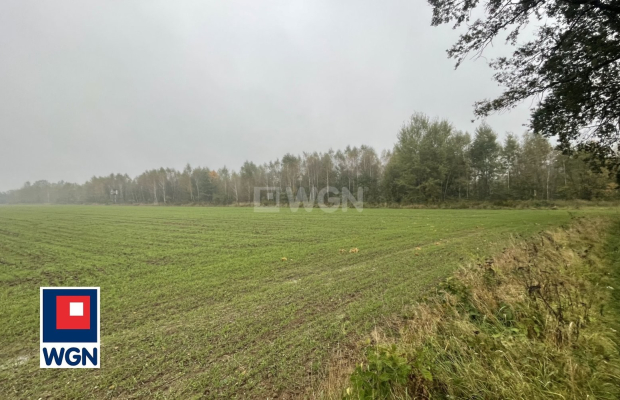 Sieraków, gmina Szprotawa, działka rolna, 23800 m2, sprzedaż, 139 000 zł.  
  
Na sprzedaż grunt rolny klasy III w miejscowości