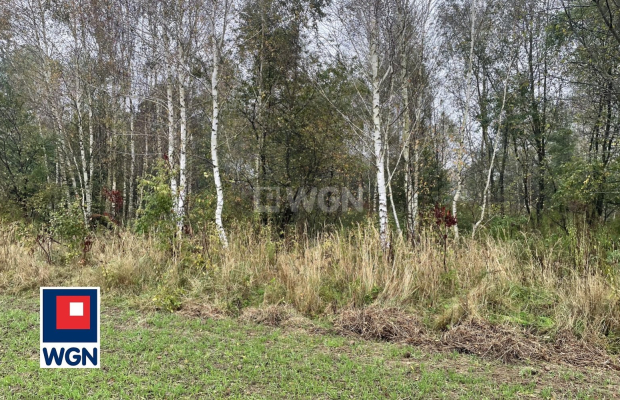 Sieraków, gmina Szprotawa, działka rolna, 23800 m2, sprzedaż, 139 000 zł.  
  
Na sprzedaż grunt rolny klasy III w miejscowości