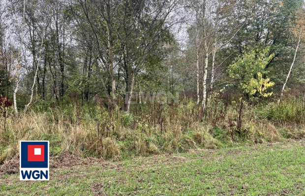 Sieraków, gmina Szprotawa, działka rolna, 23800 m2, sprzedaż, 139 000 zł.  
  
Na sprzedaż grunt rolny klasy III w miejscowości