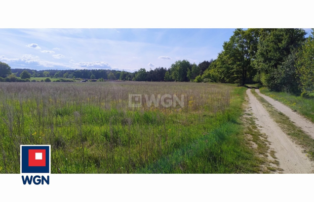 Dąbrowa, gmina Polkowice, działka rolna, 30800 m2, 3,08 HA, sprzedaż, 170000 zł.  
  
Na sprzedaż grunt rolny w miejscowości Dą