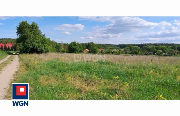 Dąbrowa, gmina Polkowice, działka rolna, 30800 m2, 3,08 HA, sprzedaż, 170000 zł.  
  
Na sprzedaż grunt rolny w miejscowości Dą