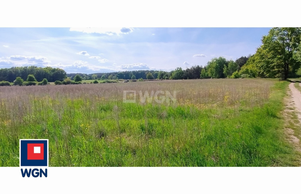Dąbrowa, gmina Polkowice, działka rolna, 30800 m2, 3,08 HA, sprzedaż, 170000 zł.  
  
Na sprzedaż grunt rolny w miejscowości Dą