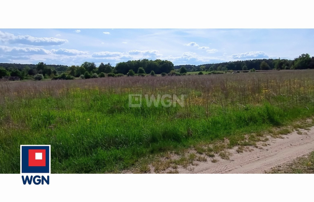 Dąbrowa, gmina Polkowice, działka rolna, 30800 m2, 3,08 HA, sprzedaż, 170000 zł.  
  
Na sprzedaż grunt rolny w miejscowości Dą