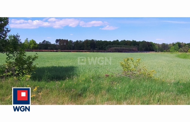 Dąbrowa, gmina Polkowice, działka rolna, 30800 m2, 3,08 HA, sprzedaż, 170000 zł.  
  
Na sprzedaż grunt rolny w miejscowości Dą