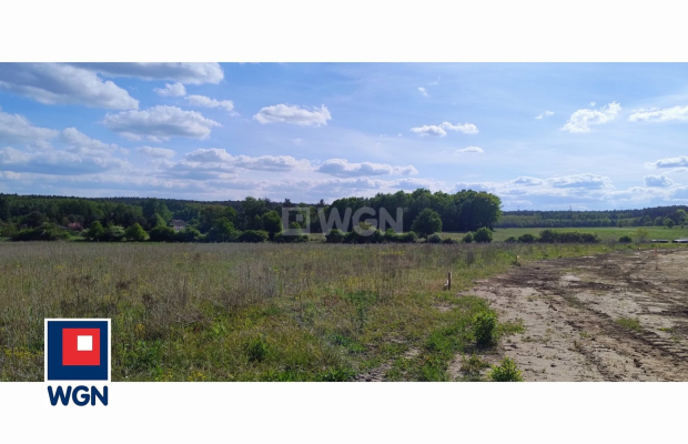 Dąbrowa, gmina Polkowice, działka rolna, 30800 m2, 3,08 HA, sprzedaż, 170000 zł.  
  
Na sprzedaż grunt rolny w miejscowości Dą