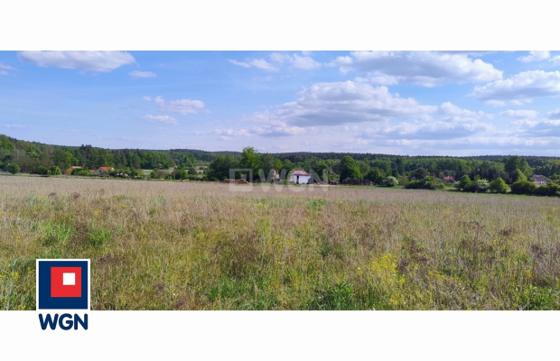 Dąbrowa, gmina Polkowice, działka rolna, 30800 m2, 3,08 HA, sprzedaż, 170000 zł.  
  
Na sprzedaż grunt rolny w miejscowości Dą