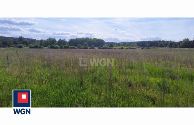 Dąbrowa, gmina Polkowice, działka rolna, 30800 m2, 3,08 HA, sprzedaż, 170000 zł.  
  
Na sprzedaż grunt rolny w miejscowości Dą