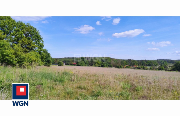 Dąbrowa, gmina Polkowice, działka rolna, 30800 m2, 3,08 HA, sprzedaż, 170000 zł.  
  
Na sprzedaż grunt rolny w miejscowości Dą