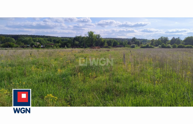 Dąbrowa, gmina Polkowice, działka rolna, 30800 m2, 3,08 HA, sprzedaż, 170000 zł.  
  
Na sprzedaż grunt rolny w miejscowości Dą