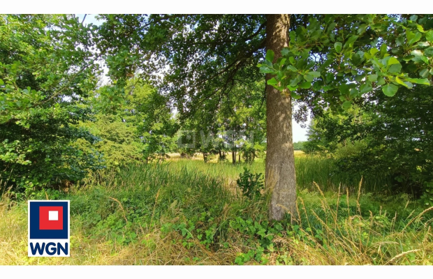 Jędrzychów, działka rolna do przekształcenia, 9000m2, 200 000zł, sprzedam.  
  
  
Zapraszam do zapoznania się z ofertą działek