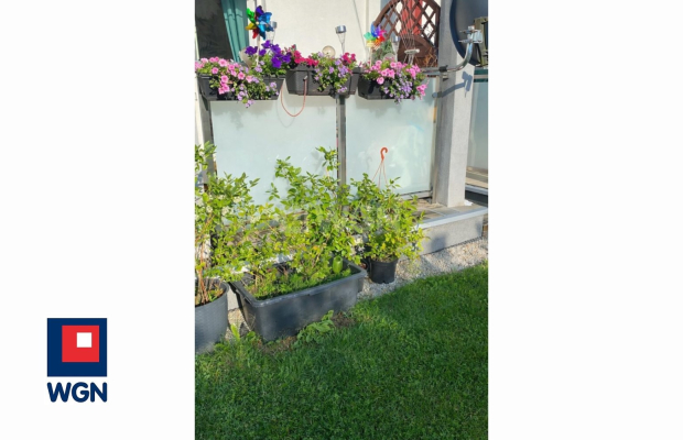 Polkowice, 3 pokoje, parter, balkon, ogródek, wynajmę, 55,5 m2, 2700 zł miesięcznie.  
  
Do wynajęcia trzypokojowe umeblowane 