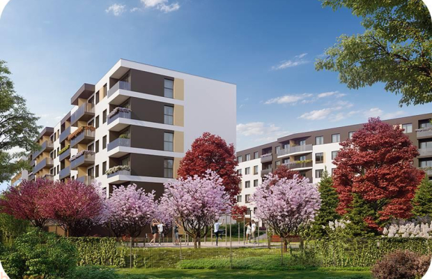 3-pokojowe mieszkanie na Sołtysowicach