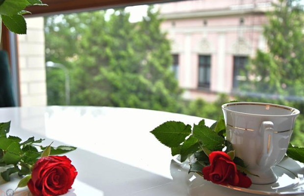 Piękne mieszkanie w samym centrum, Księcia Witolda