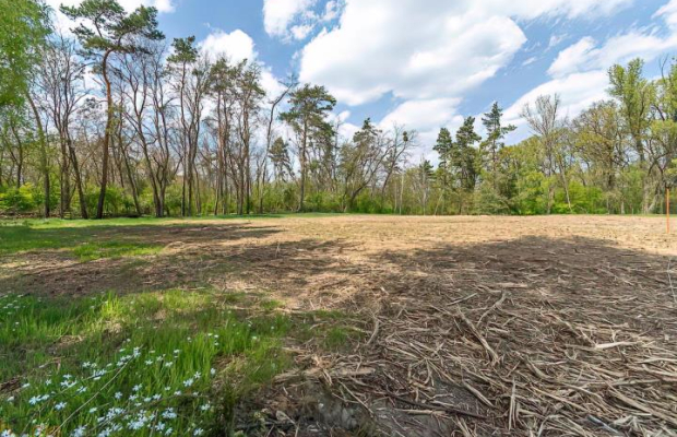 Wyjątkowy teren przy lesie. Idealne pod Twój dom.