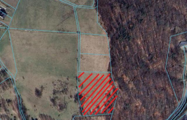 Działka w Górach Sowich