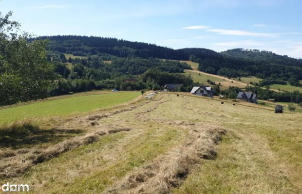 Działka w Górach Sowich