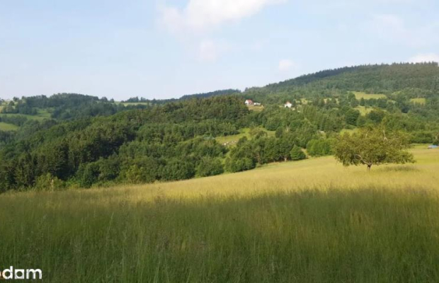 Działka w Górach Sowich