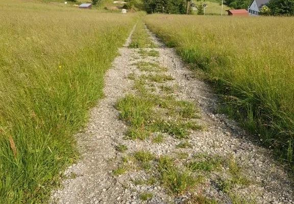 Działka w Górach Sowich