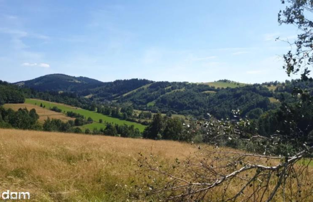 Działka w Górach Sowich