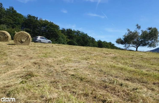 Działka w Górach Sowich