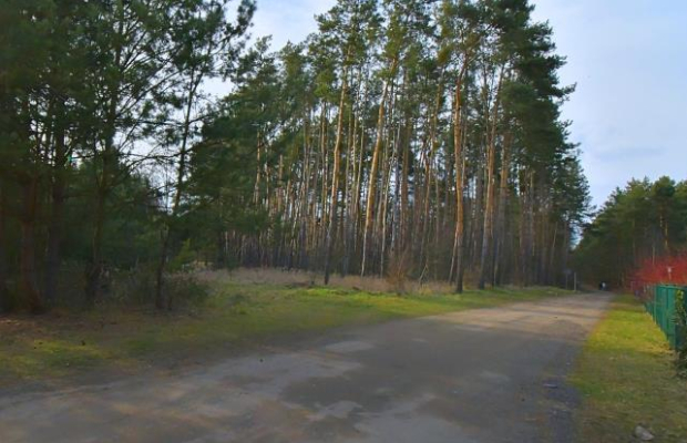 Piękna działka blisko lasu, Miłoszyce