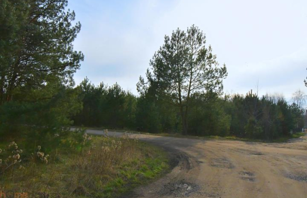 Piękna działka blisko lasu, Miłoszyce