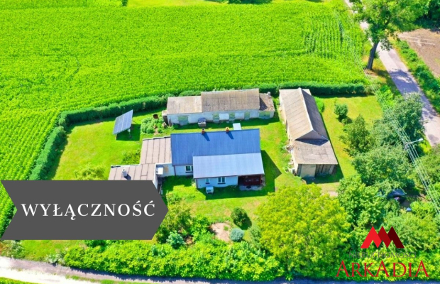 Dom z potencjałem/Bodzanowo