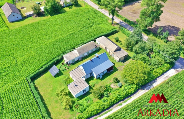 Dom z potencjałem/Bodzanowo