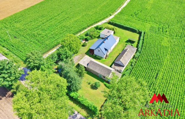 Dom z potencjałem/Bodzanowo