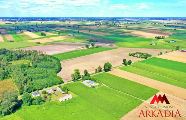 Dom z potencjałem/Bodzanowo