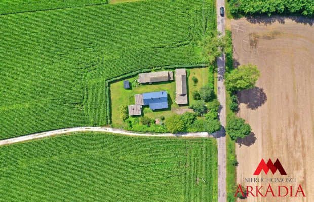 Dom z potencjałem/Bodzanowo