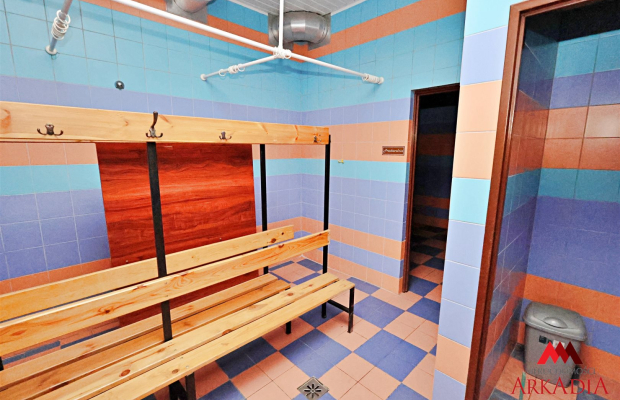 lokal handlowo usługowy  435  m2 z basenem 