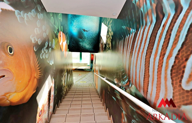 Lokal usługowy ,500 m2 w Centrum z parkingiem