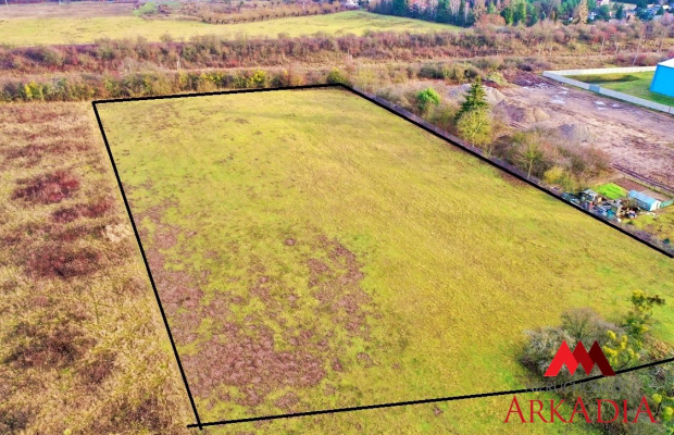 Działka  Aleksandrów Kuj. o pow.13174 m2