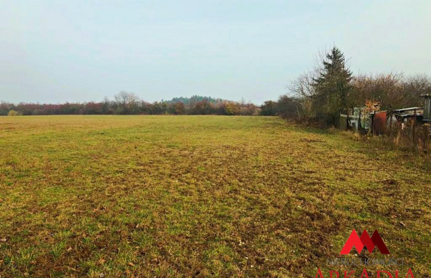 Działka  Aleksandrów Kuj. o pow.13174 m2