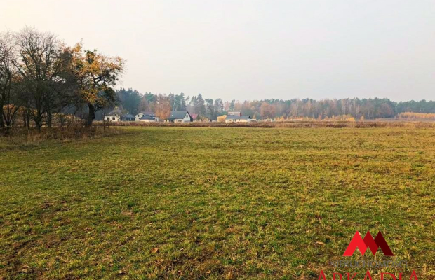 Działka  Aleksandrów Kuj. o pow.13174 m2