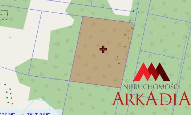 Działka/Łęg Witoszyn z warunkami zabudowy