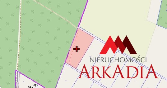 Działka na sprzedaż/Nowy Witoszyn