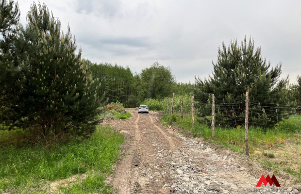 Działka Osiek /Szpetal Górny  pow: 2888 m2 